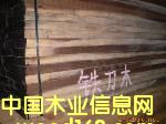 鐵刀木的詳細介紹