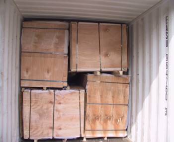 plywoodԔB