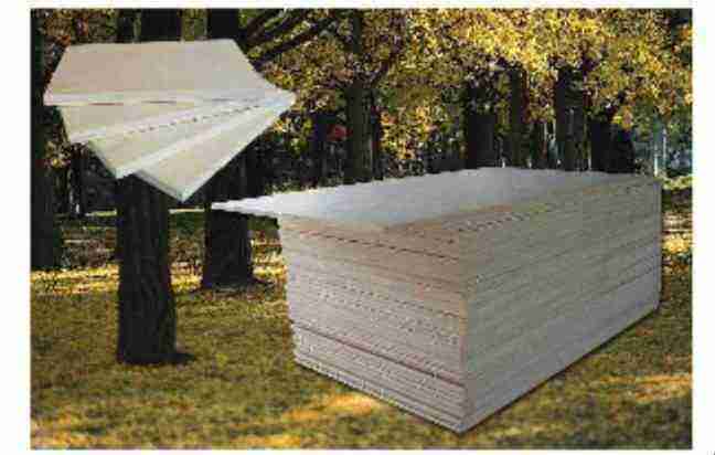 plywoodԔB